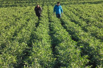 База посадки