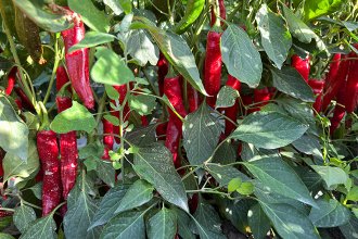 База посадки