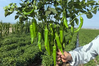 База посадки