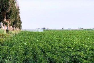 База посадки