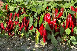 База посадки