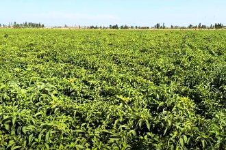 База посадки