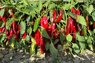 База посадки